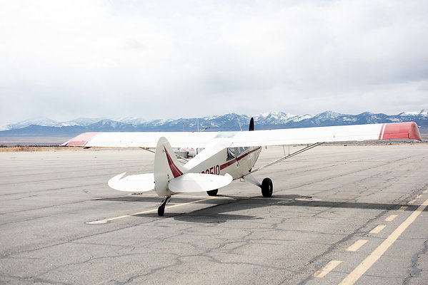 Scout-2209