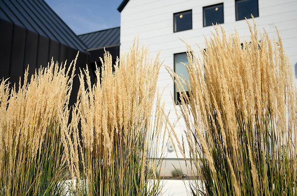 ScandinavianFarmhouse-8941
