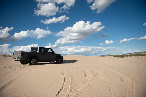 Scout-2341 Scout-2341