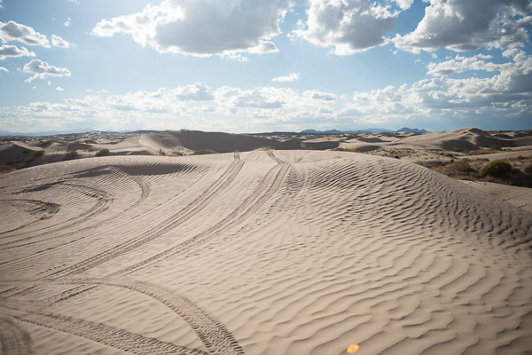 Scout-2325 Scout-2325