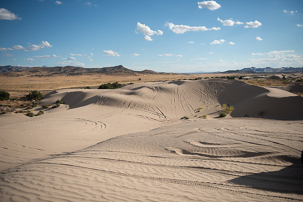 Scout-2323 Scout-2323