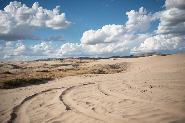 Scout-2310 Scout-2310