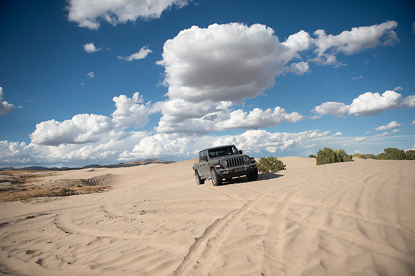 Scout-2313 Scout-2313