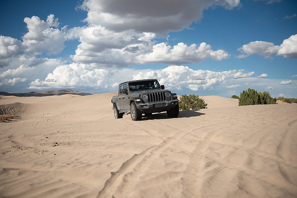 Scout-2311 Scout-2311