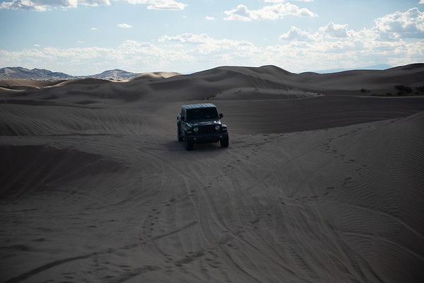 Scout-2303 Scout-2303