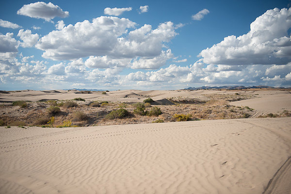 Scout-2272 Scout-2272