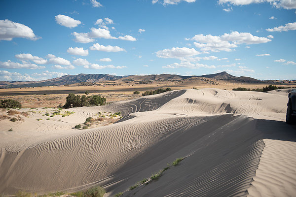 Scout-2256 Scout-2256