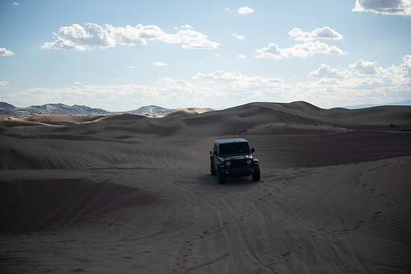 Scout-2302 Scout-2302