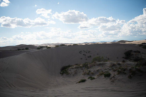 Scout-2301 Scout-2301