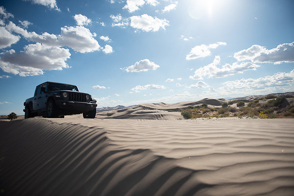 Scout-2269 Scout-2269