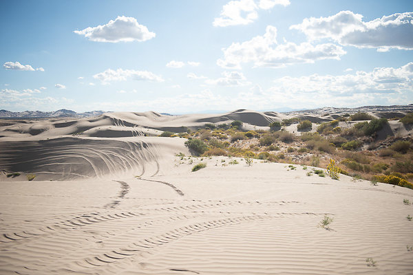 Scout-2258 Scout-2258