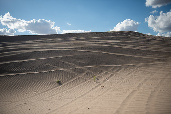 Scout-2291 Scout-2291