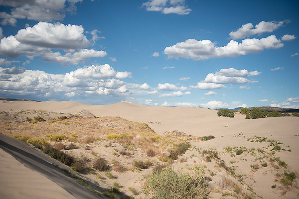 Scout-2274 Scout-2274