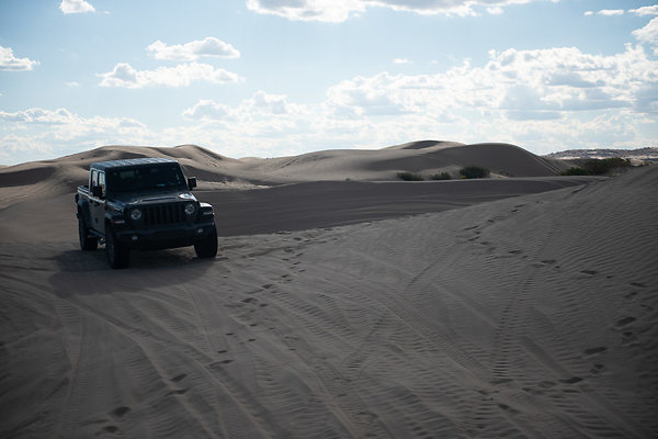 Scout-2306 Scout-2306