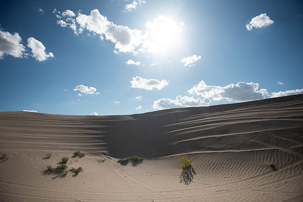 Scout-2292 Scout-2292