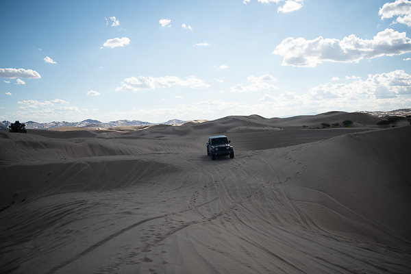 Scout-2300 Scout-2300