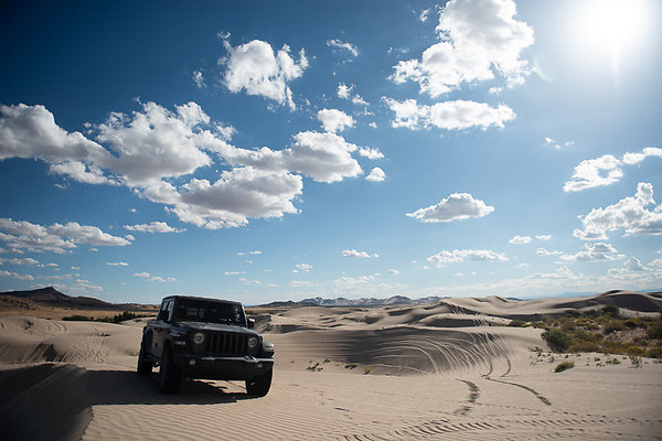 Scout-2260 Scout-2260