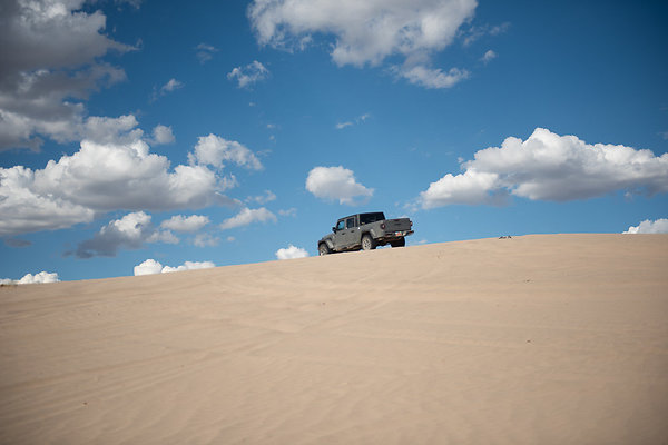 Scout-2295 Scout-2295