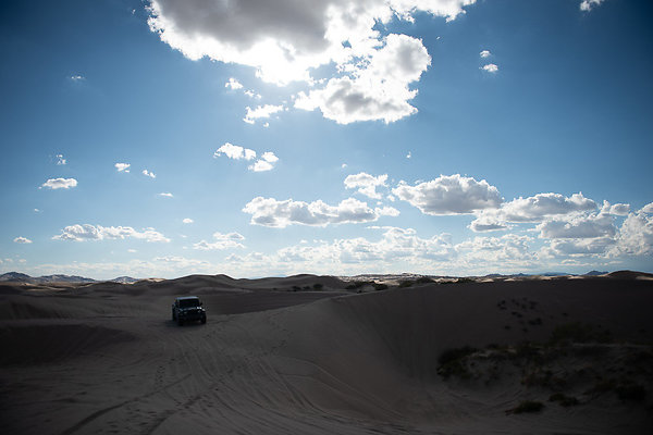 Scout-2304 Scout-2304