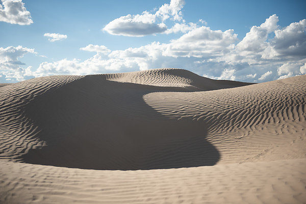 Scout-2362 Scout-2362