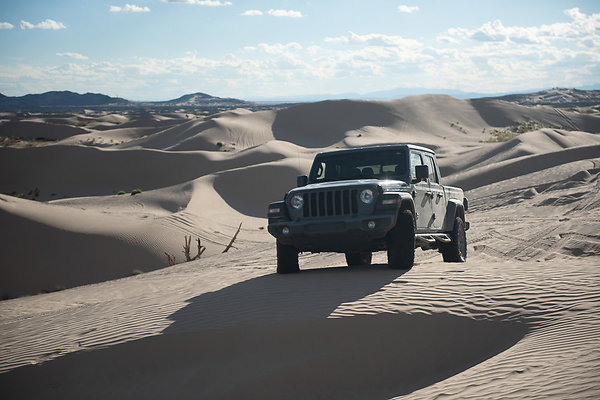 Scout-2348 Scout-2348