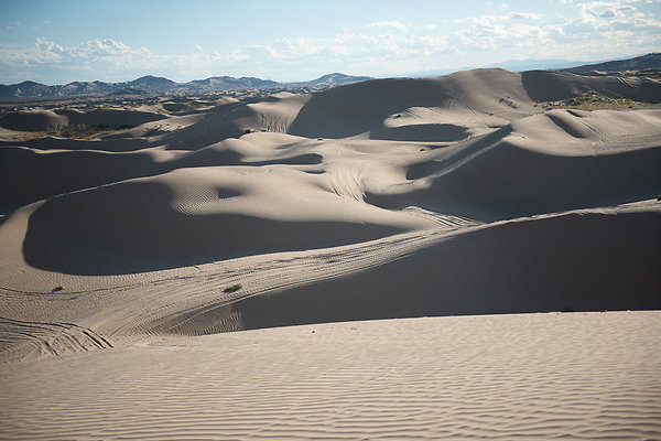 Scout-2370 Scout-2370