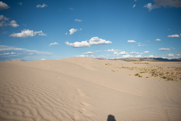 Scout-2352 Scout-2352