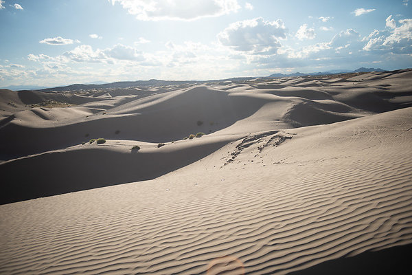 Scout-2363 Scout-2363