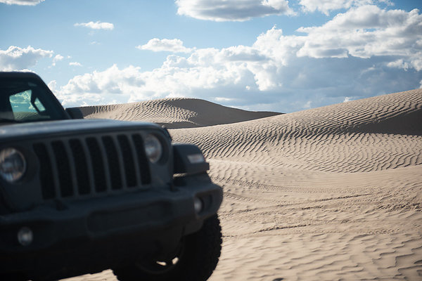 Scout-2354 Scout-2354