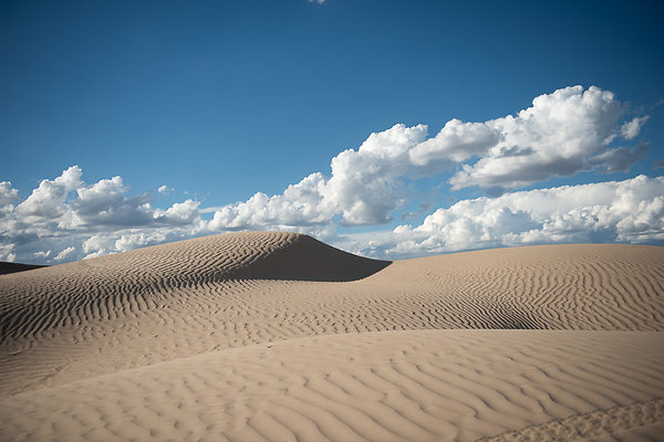 Scout-2361 Scout-2361