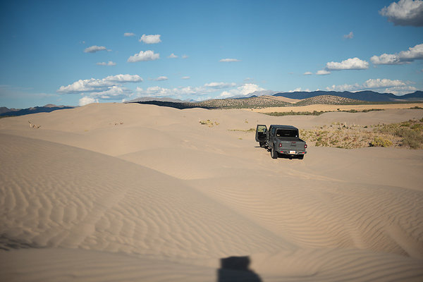 Scout-2373 Scout-2373