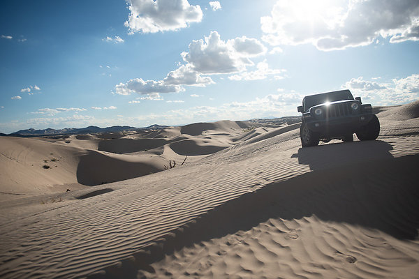 Scout-2351 Scout-2351