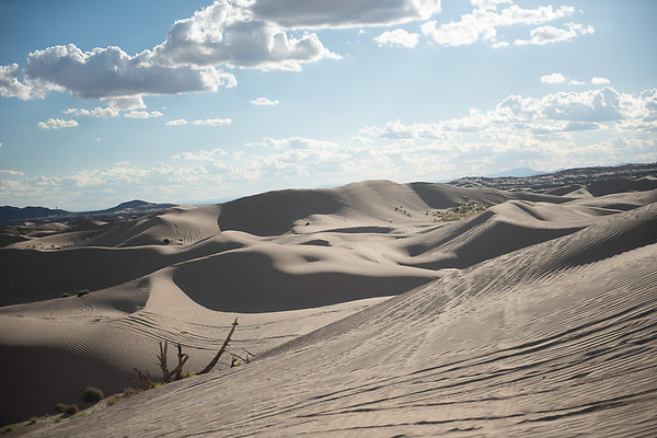 Scout-2357 Scout-2357