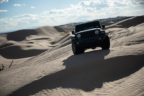 Scout-2349 Scout-2349