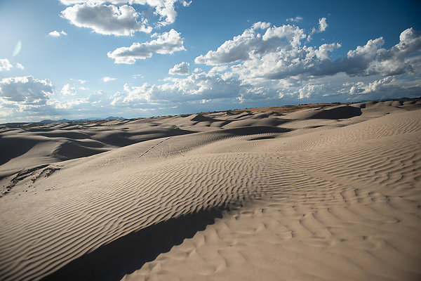 Scout-2366 Scout-2366