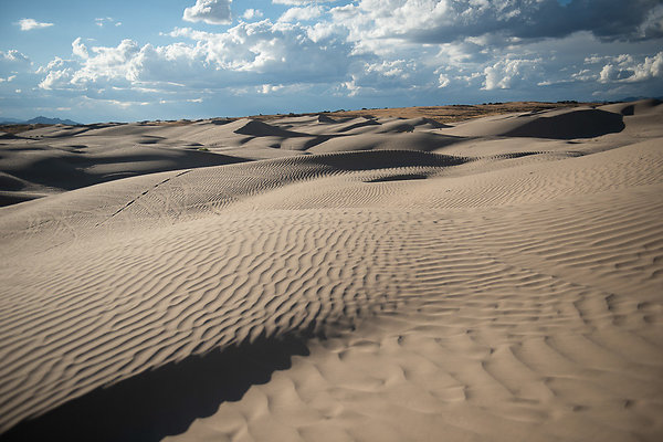 Scout-2364 Scout-2364