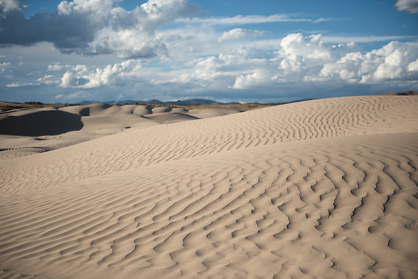 Scout-2371 Scout-2371