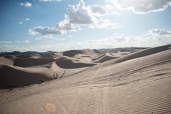 Scout-2358 Scout-2358