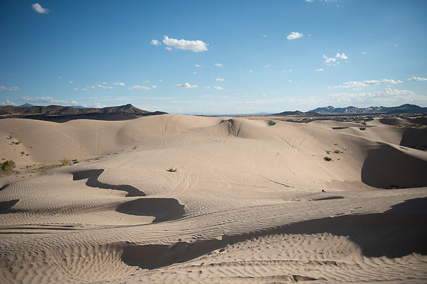 Scout-2343 Scout-2343