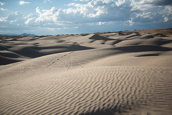 Scout-2368 Scout-2368