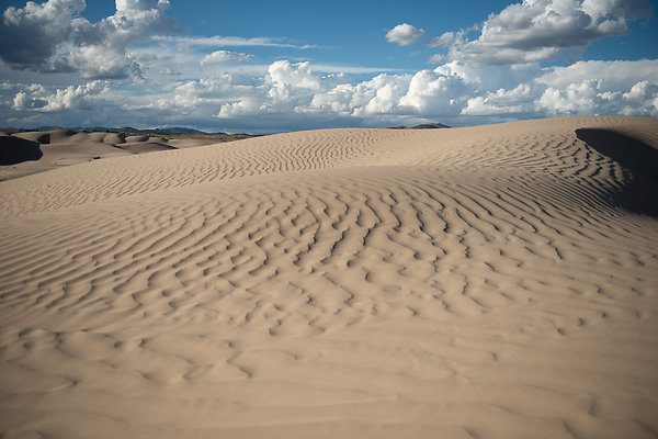 Scout-2365 Scout-2365