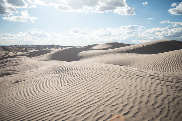 Scout-2345 Scout-2345