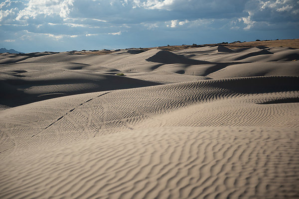 Scout-2367 Scout-2367