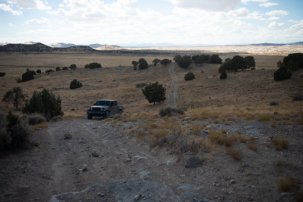 Scout-2208 Scout-2208