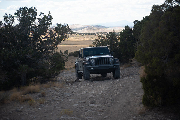 Scout-2255 Scout-2255