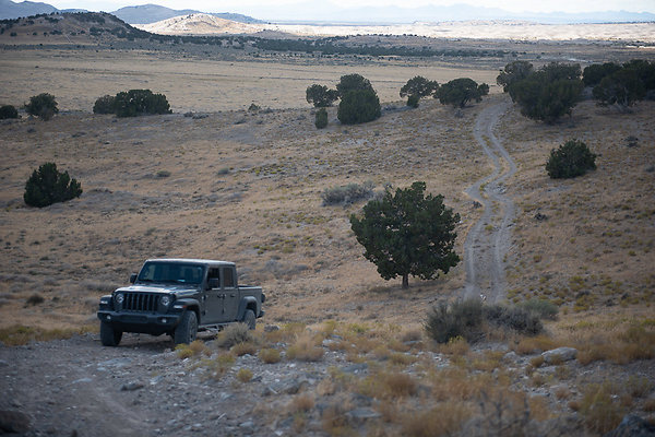 Scout-2209 Scout-2209