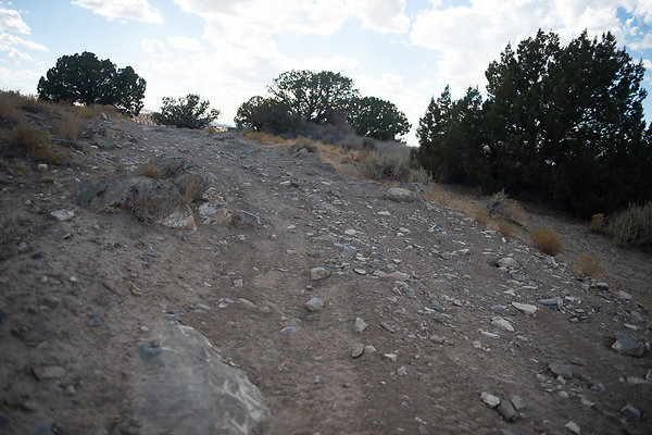 Scout-2251 Scout-2251