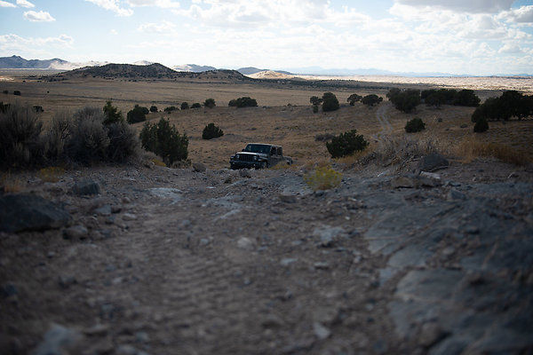 Scout-2207 Scout-2207