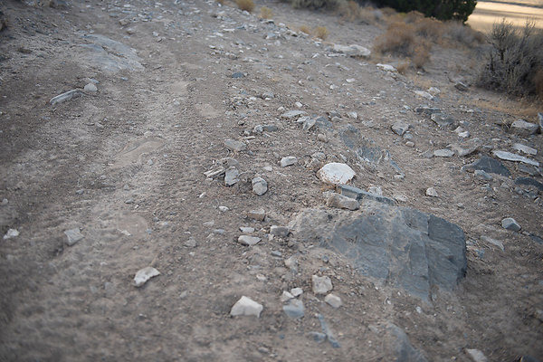 Scout-2249 Scout-2249