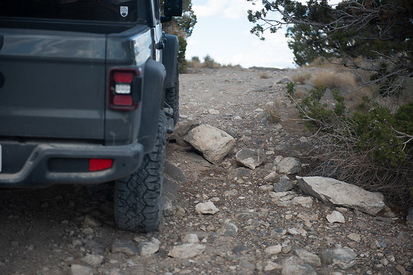 Scout-2233 Scout-2233